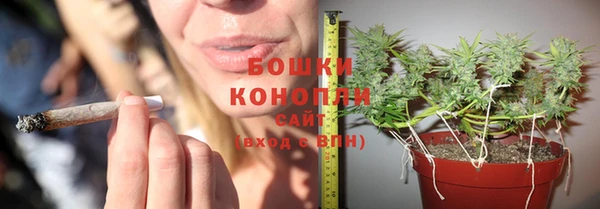 сатива Нея